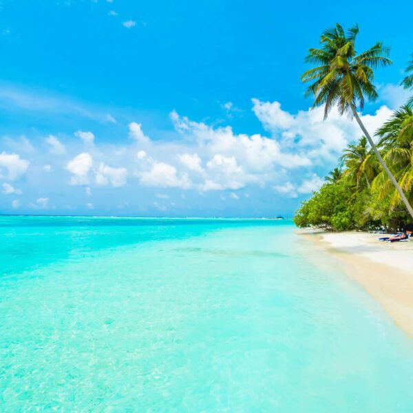 maldives-island (2) (1)
